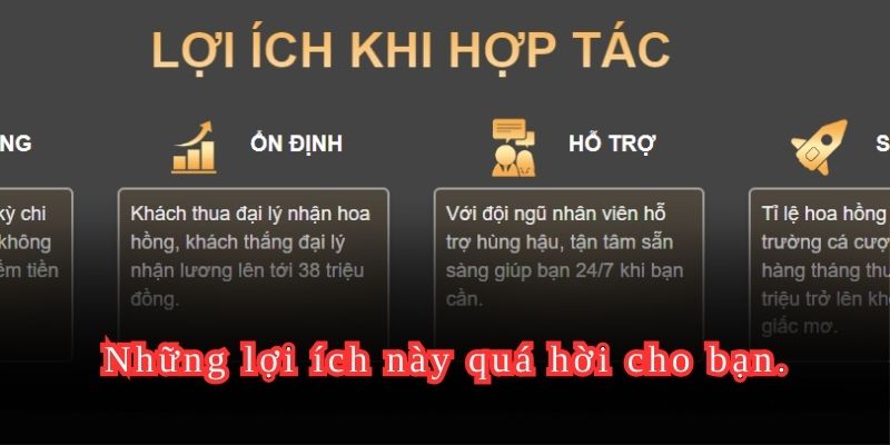 Những lợi ích này quá hời cho bạn.